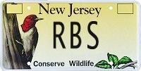 New Jersey License